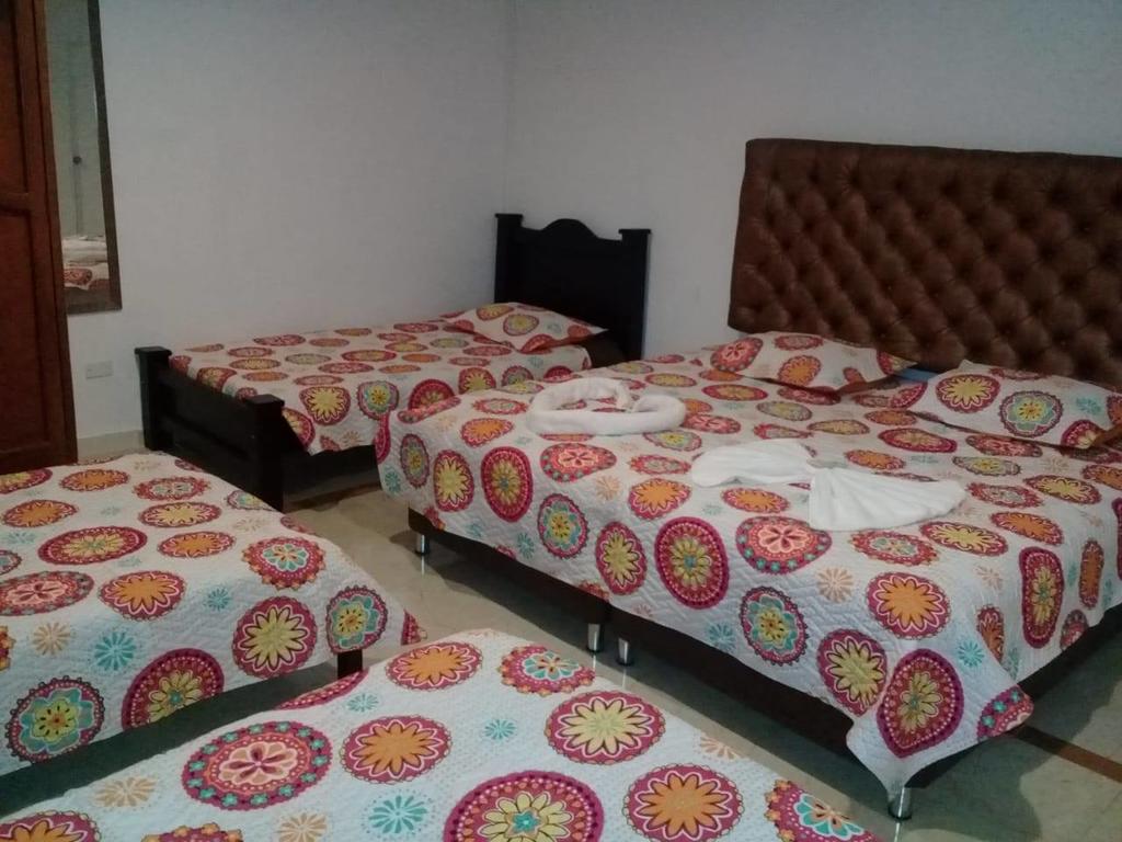 Imagen de presentación de HOTEL ORQUIDEA 19